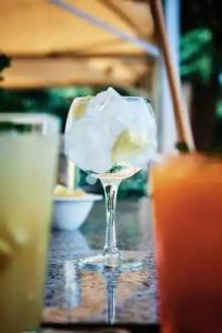 Crisol Jardines de Córdoba - 12