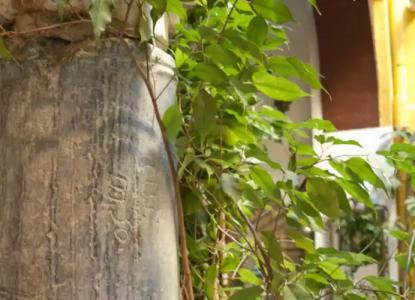 Casa Museo de la Mezquita - 21