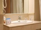Standard Double room with balcony and with sea view