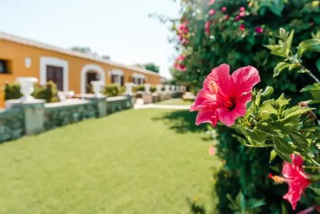 Rural Sant Ignasi - 18