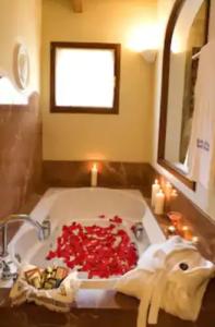 Rural Sant Ignasi - 24