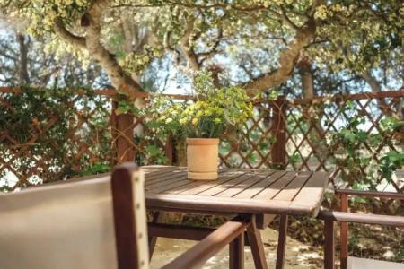 Rural Sant Ignasi - 46