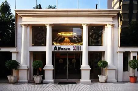 Sercotel Alfonso XIII - 42