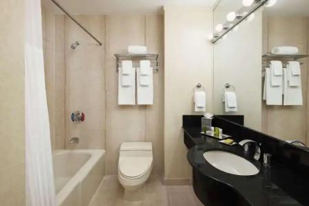 Millennium Downtown New York - Newly Renovated - 7