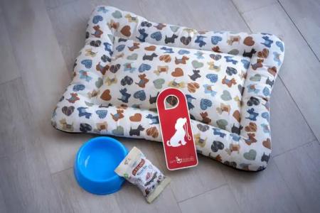 GHT Balmes,-Aparthotel&SPLASH - 132