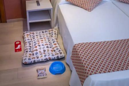 GHT Balmes,-Aparthotel&SPLASH - 131