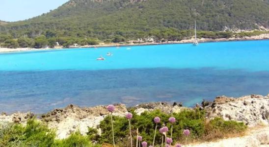 HSM Regana - Adults only - 20
