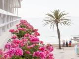 Standard Single room with balcony and with partial ocean view