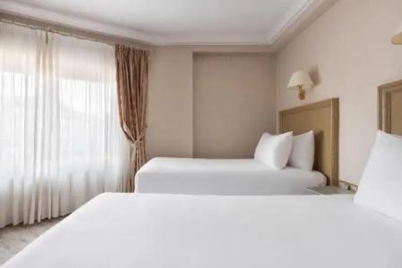 Crisol Almirante Bonifaz - 38