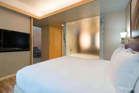 Hilton Club West 57th Street New York - 6