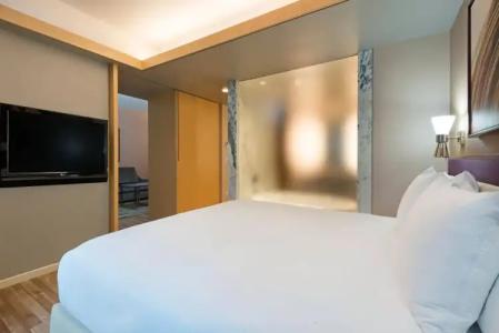 Hilton Club West 57th Street New York - 25