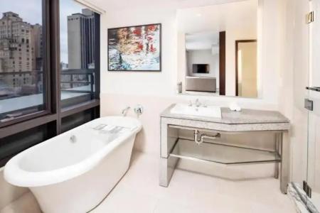 Hilton Club West 57th Street New York - 76