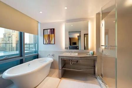 Hilton Club West 57th Street New York - 3