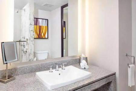 Hilton Club West 57th Street New York - 67