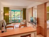 1 Bedroom Premium Apartment