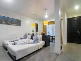 Deluxe Double room with garden view
