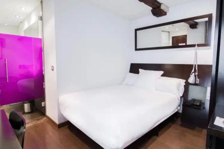 Petit Palace Arana Bilbao - 34