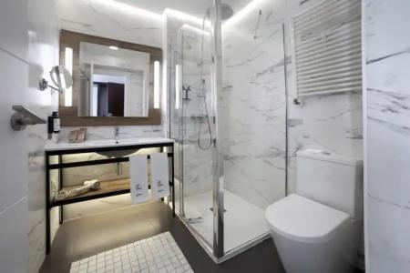 Petit Palace Arana Bilbao - 90