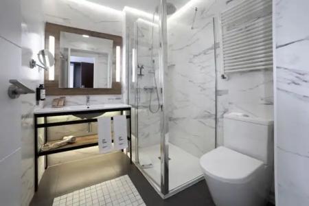 Petit Palace Arana Bilbao - 72