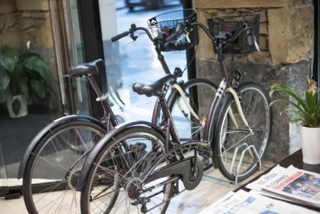 Petit Palace Arana Bilbao - 22