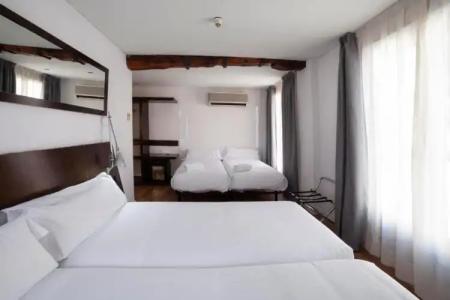 Petit Palace Arana Bilbao - 75