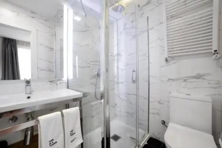 Petit Palace Arana Bilbao - 80