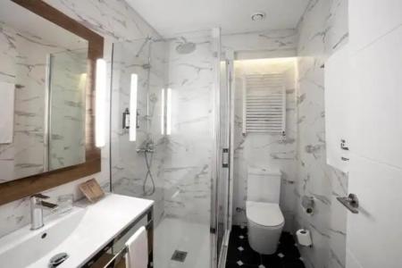 Petit Palace Arana Bilbao - 60