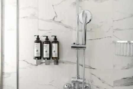 Petit Palace Arana Bilbao - 8