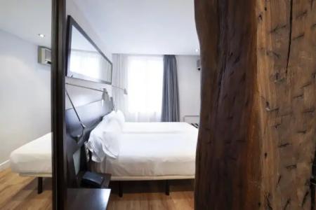 Petit Palace Arana Bilbao - 5