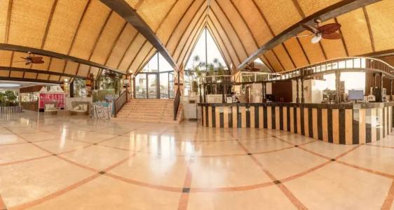 Magic Tropical Splash - 26