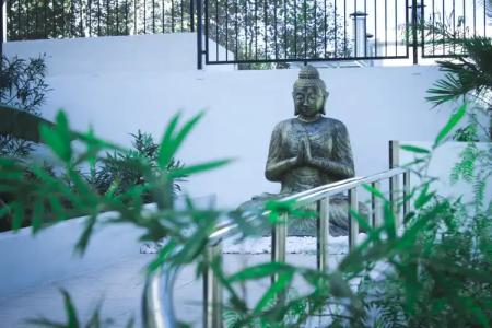 Flamingo Beach Resort - Adults Recommended - 21