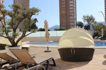 Flamingo Beach Resort - Adults Recommended - 31