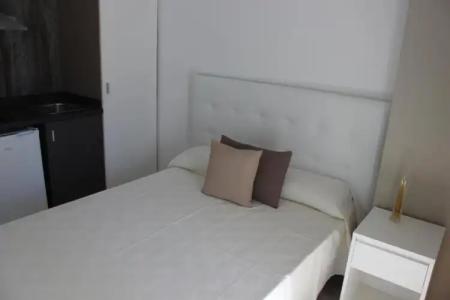 Flamingo Beach Resort - Adults Recommended - 50