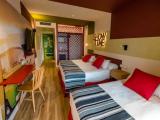 Standard Double room with pool view