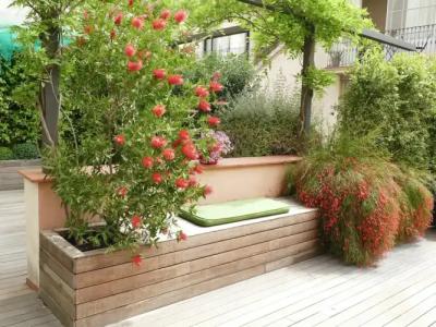 Turin Barcelona - 20