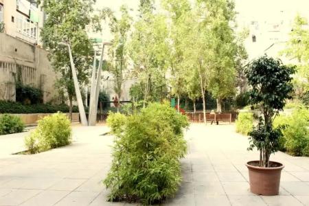 Evenia Rossello - 25