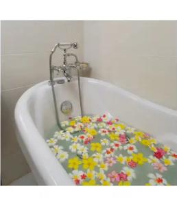 Royal Angkor Resort & Spa - 5