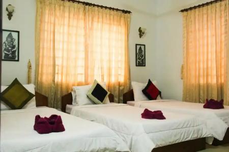 Tropical Breeze - 26