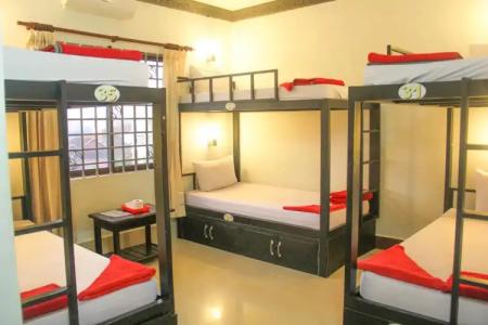 Tropical Breeze - 37