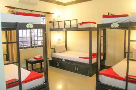 Tropical Breeze - 51