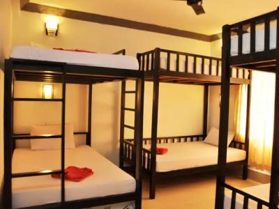 Tropical Breeze - 15