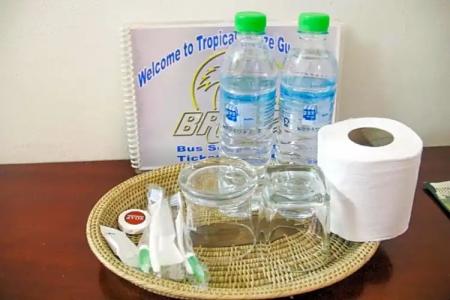 Tropical Breeze - 67