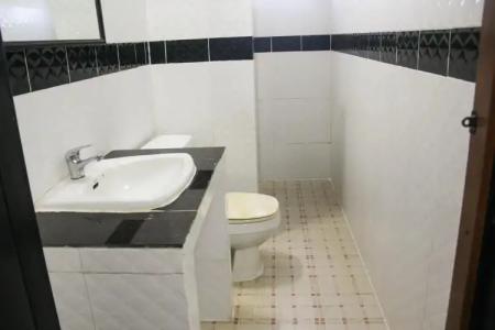 Tropical Breeze - 33