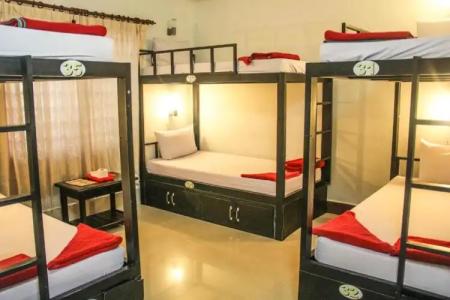 Tropical Breeze - 58