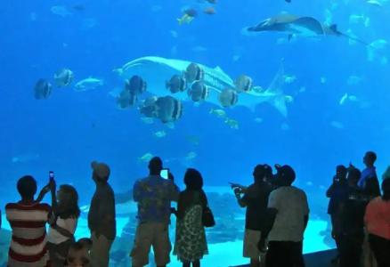 Arrayanes Playa Almuñecar - 27