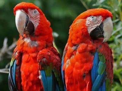 Arrayanes Playa Almuñecar - 19