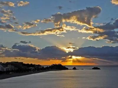 Arrayanes Playa Almuñecar - 31