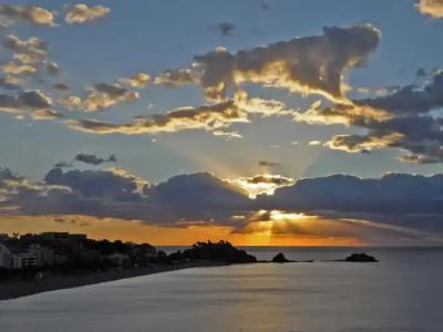 Arrayanes Playa Almuñecar - 15