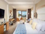 Gold Level Swim Up Private Pool Double room