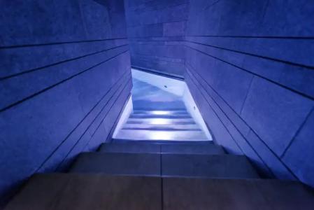 Adriánes Jardines de Nivaria - 21